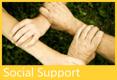 Social Support